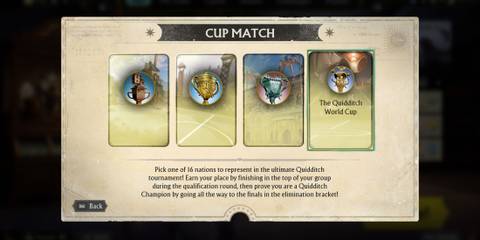Harry Potter Quidditch Champions Campaign Mode Cups