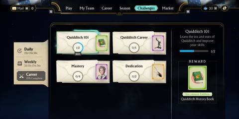 Harry Potter Quidditch Champions Challenges