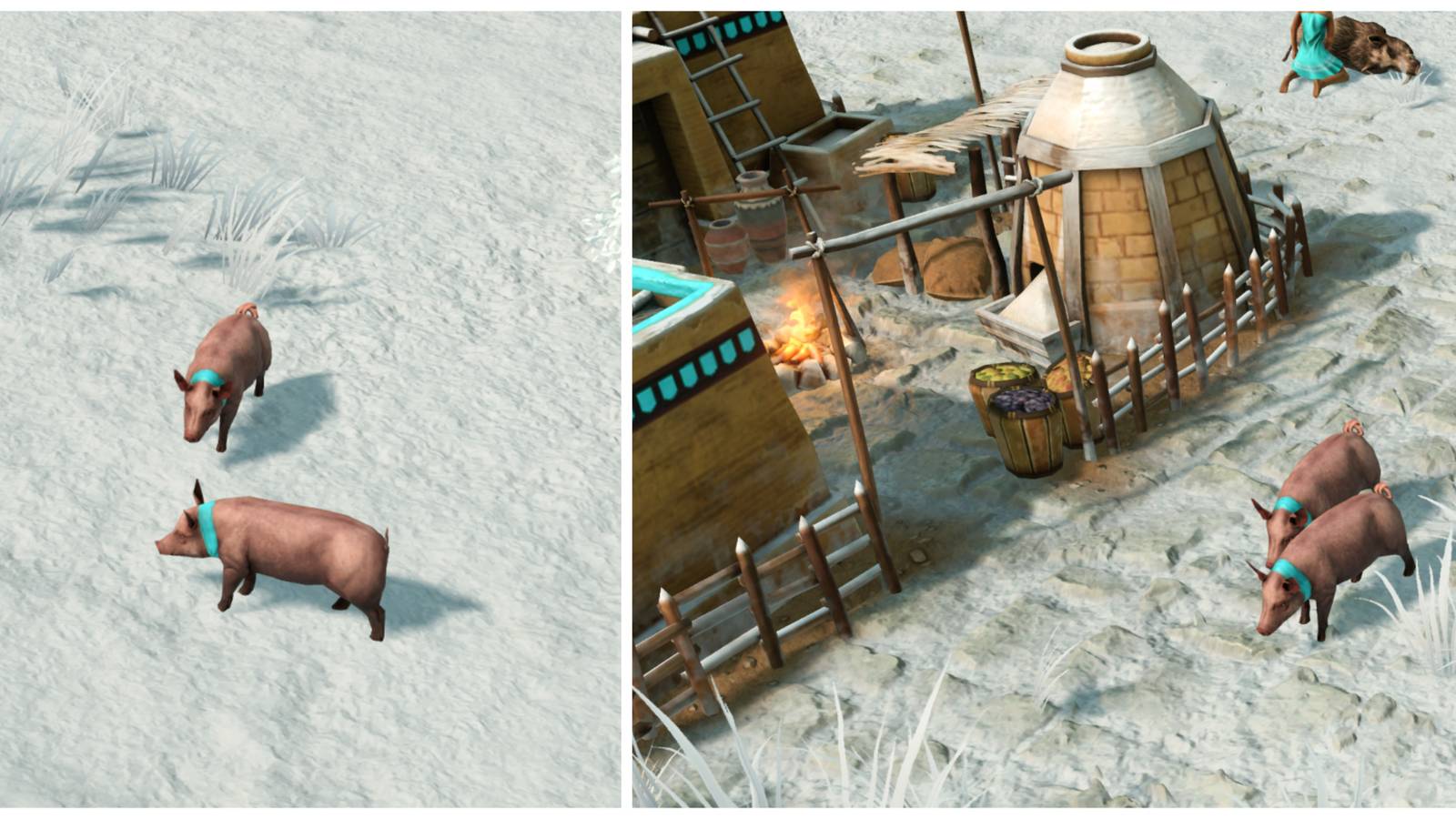 herdable pigs age of mythology