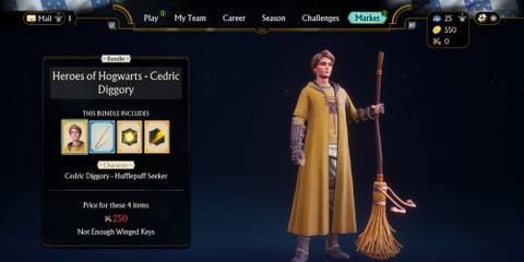 heroes of hogwarts cedric diggory bundle in quidditch champions