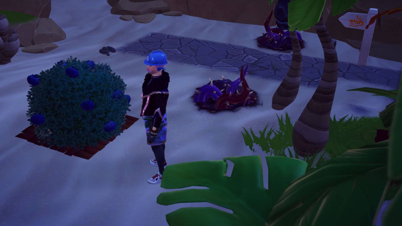 how to pick berries from the beach dreamlight valley 