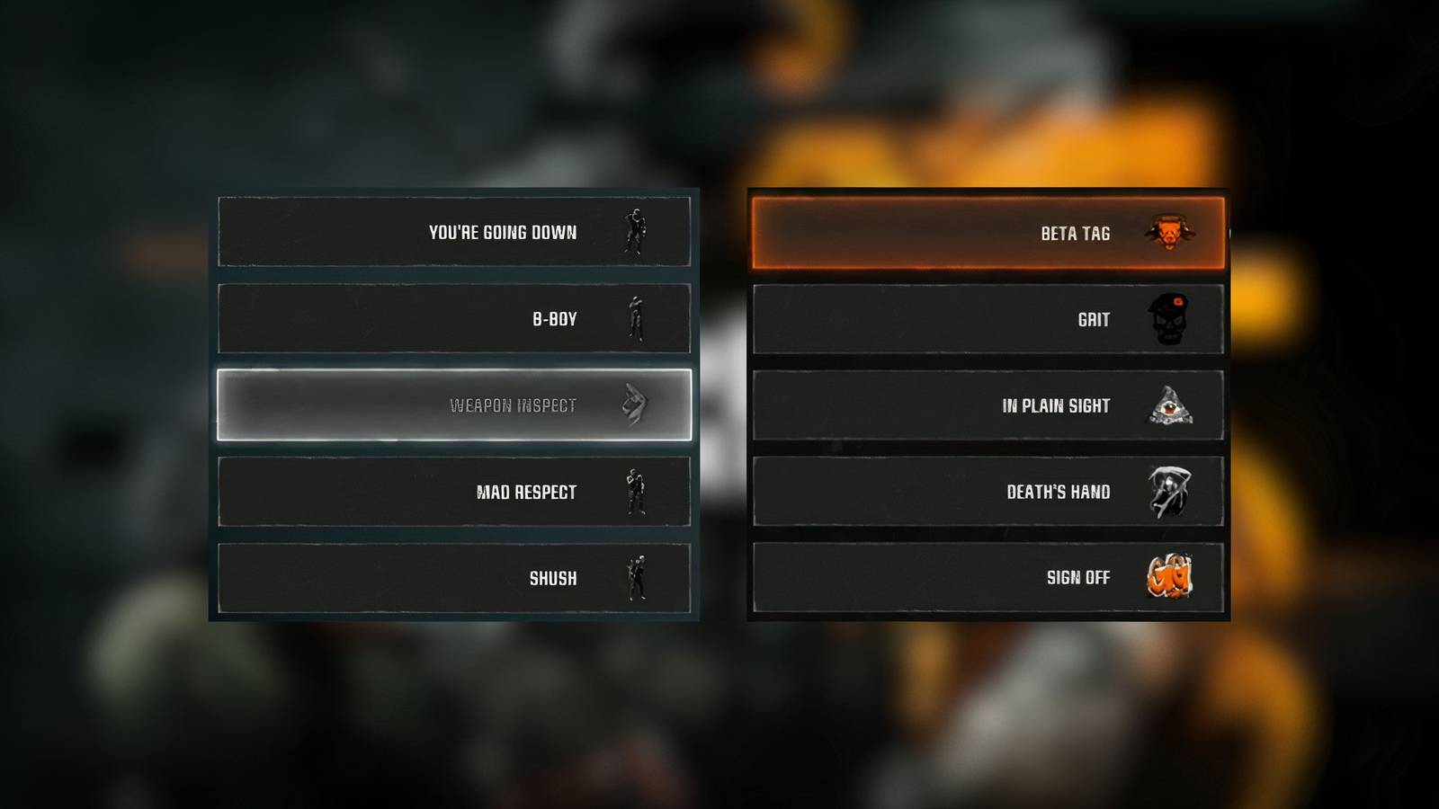 Emotes and Sprays Selection in Call of Duty Black Ops 6