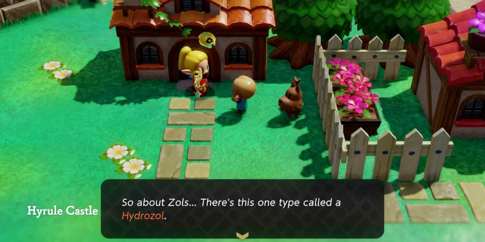 zelda echoes of wisdom a curious child quest