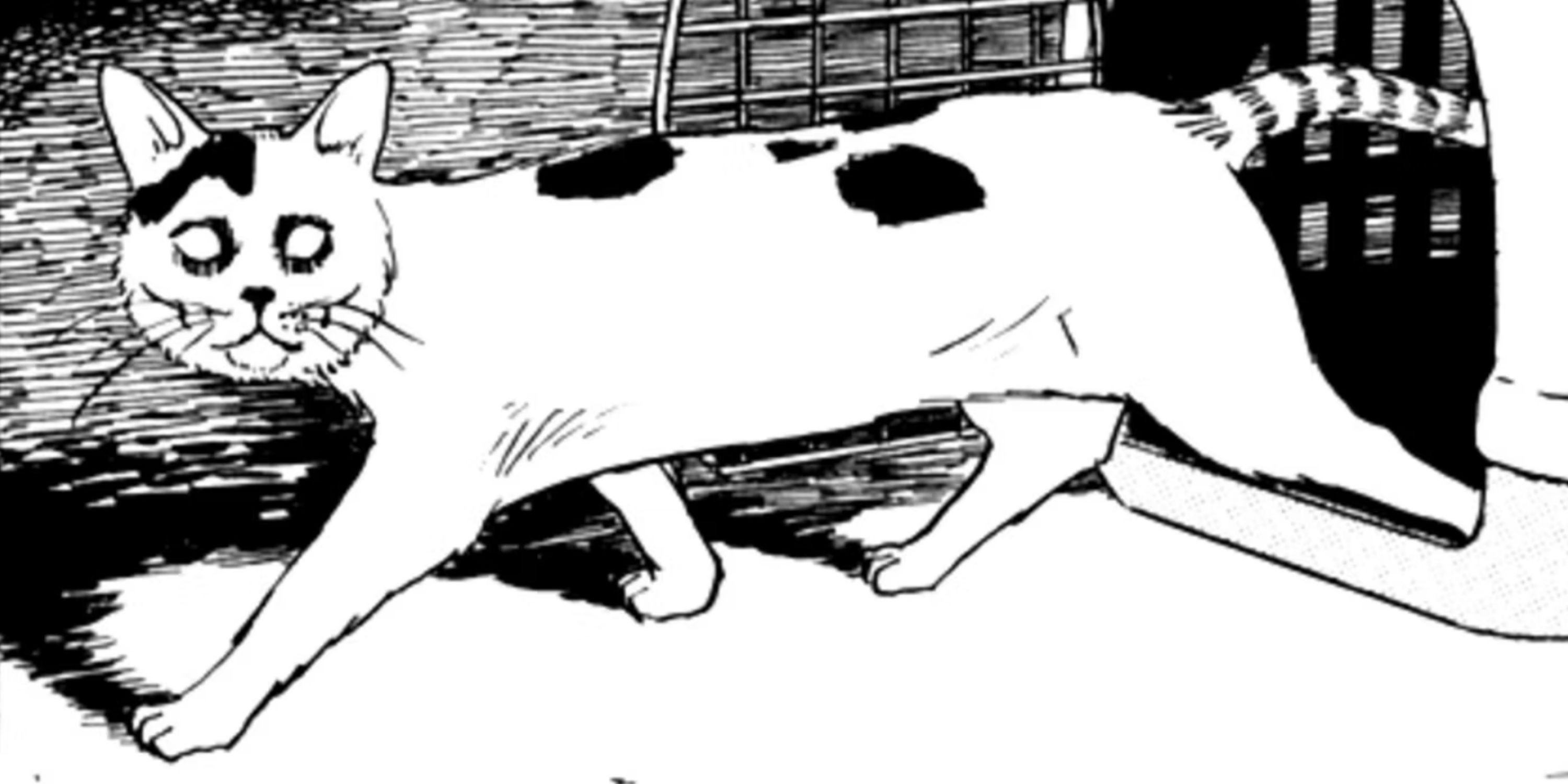 Junji Ito's Cat Diary Yon & Mu (3)