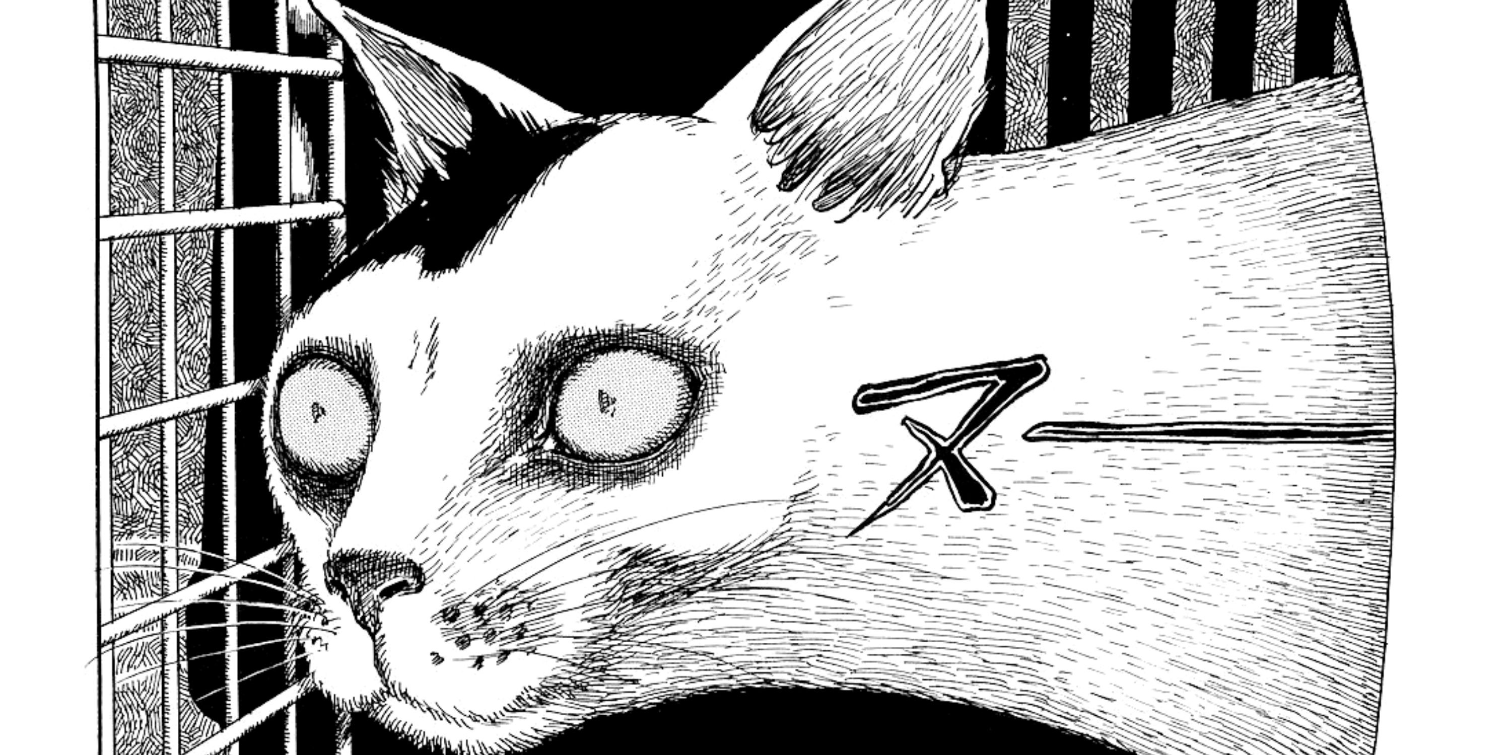 Funniest Junji Ito Stories