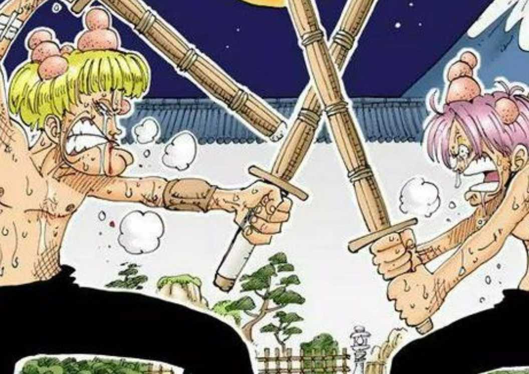 Koby Training One Piece Characters Whose Appearances Have Changed The Most