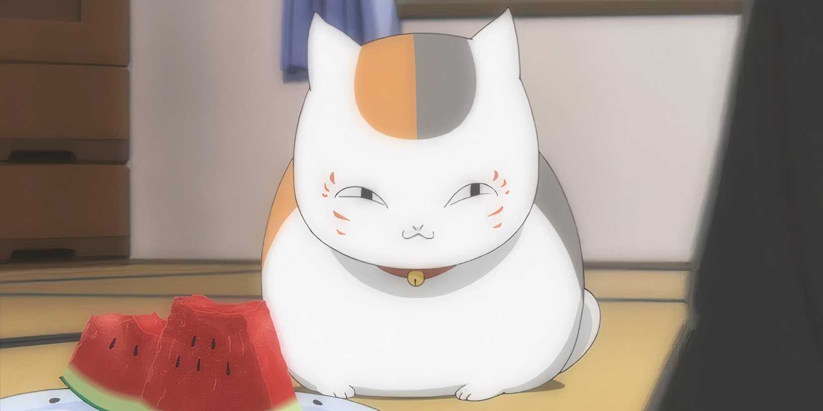 Madara in his cat form in the anime.