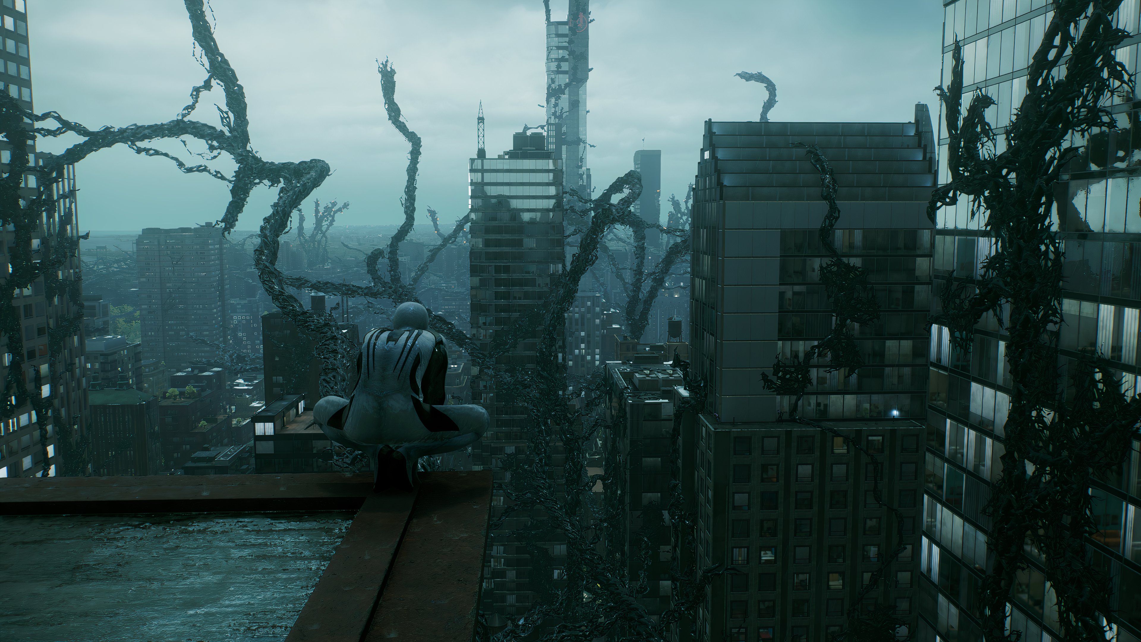 Madiopolis: The Leak'S Unexpected Twist - wkmmvht