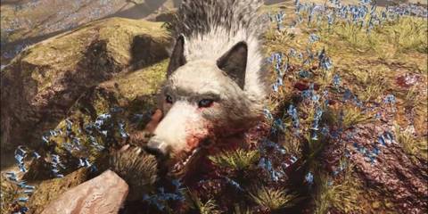 An image of the Snowblood Wolf from Far Cry Primal