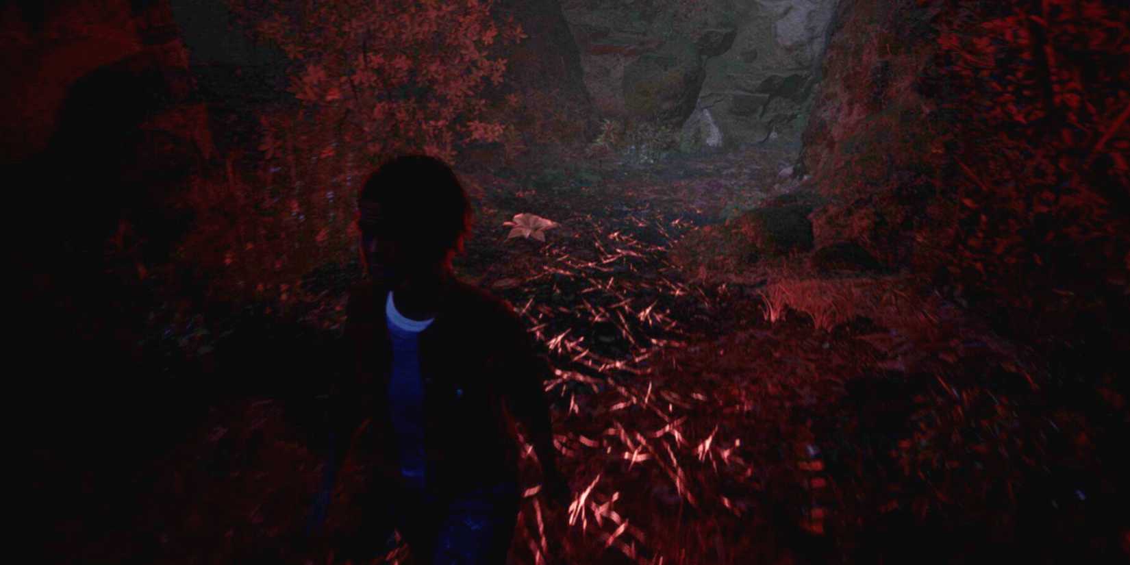 Maddi and red scratch marks