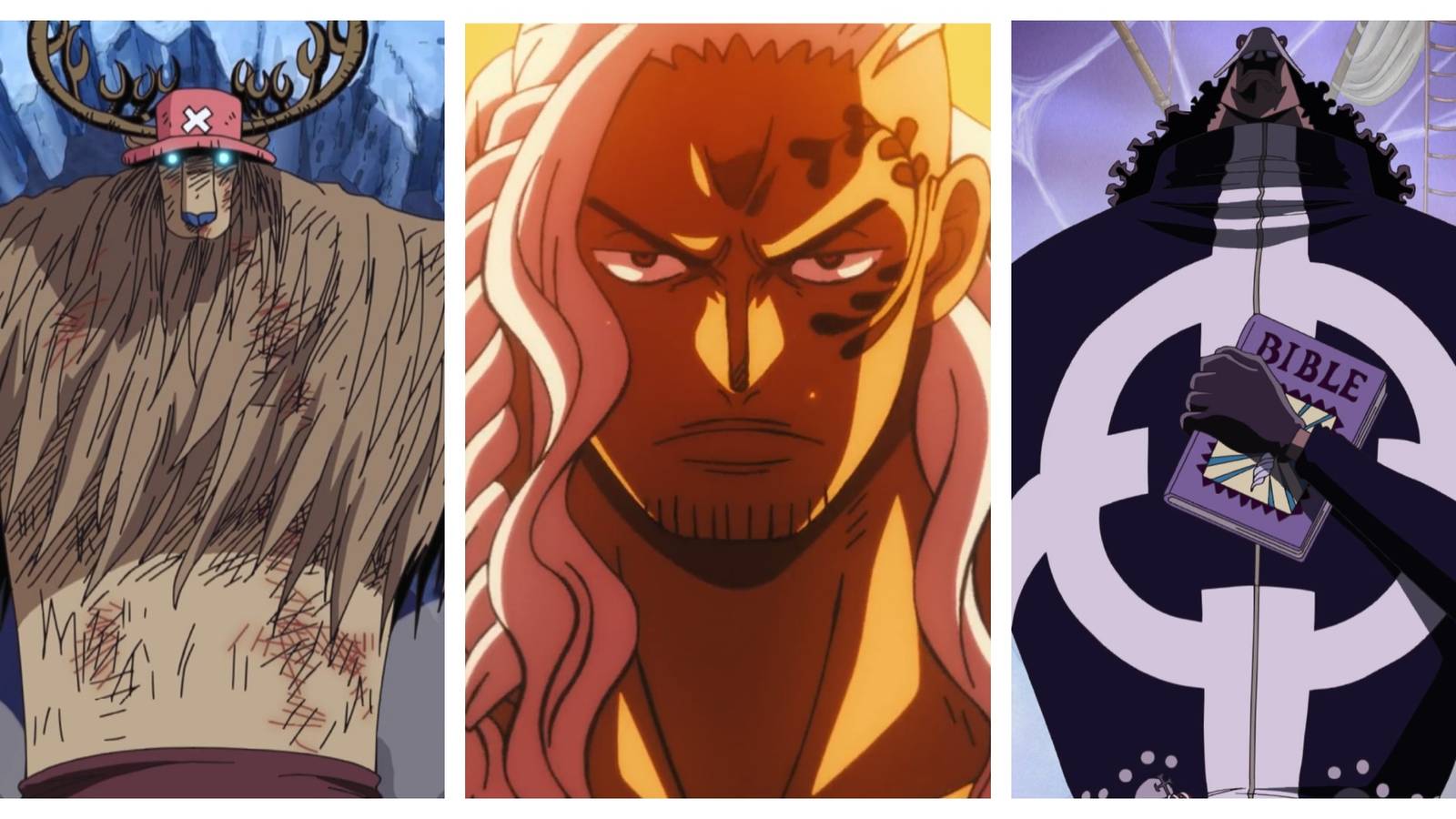 Chopper, King, and Bartholomew Kuma, three of the strongest Devil Fruit Users Confirmed Not To Be Human