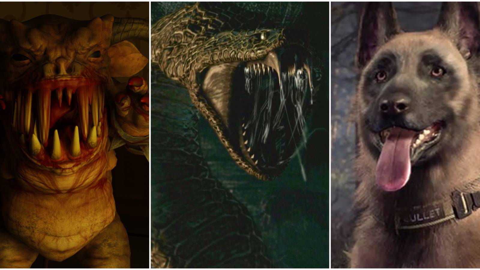 A killer goat, Yawn, and Bullet