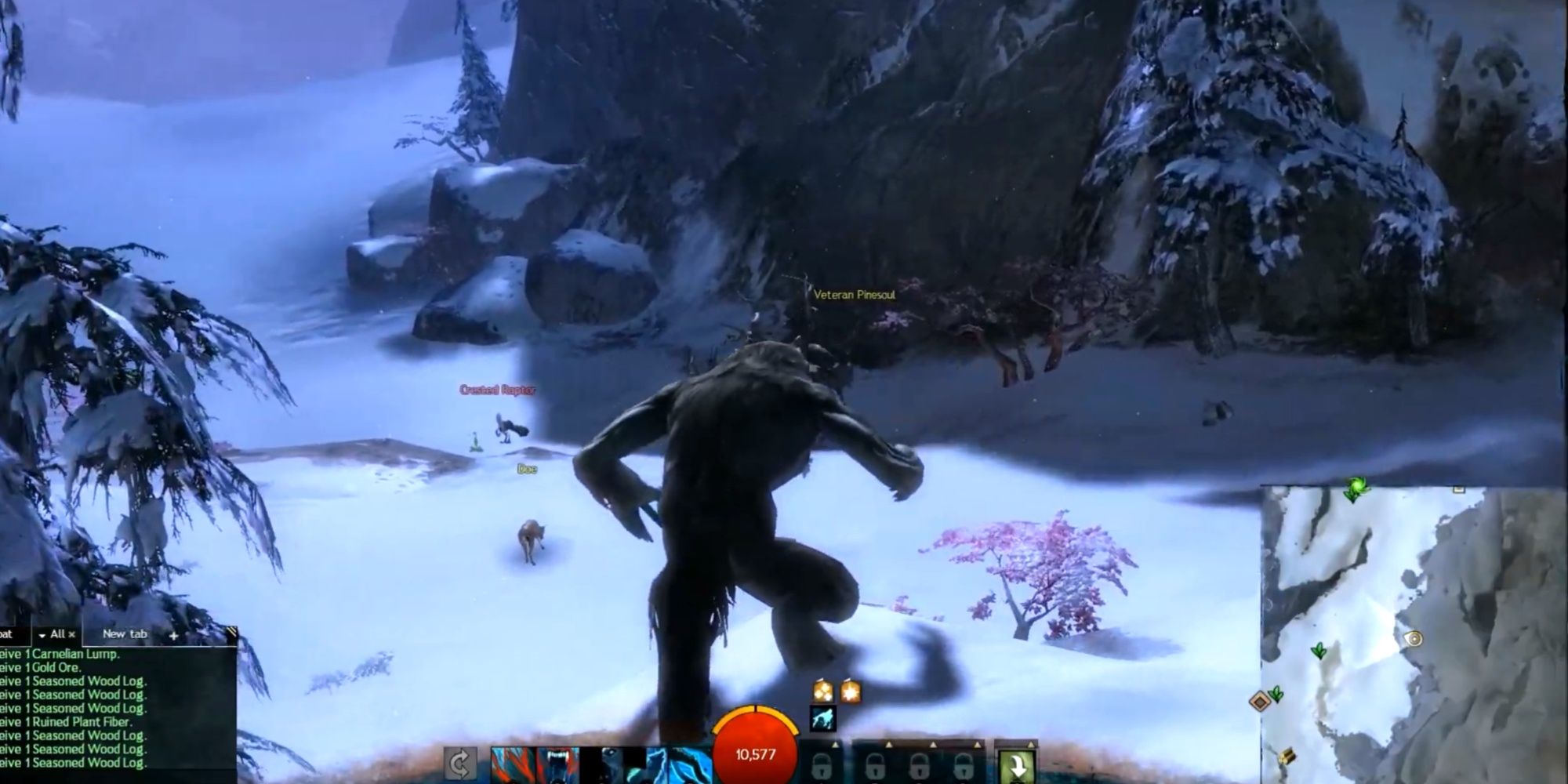 Guild Wars 2 norn become the wolf transformation