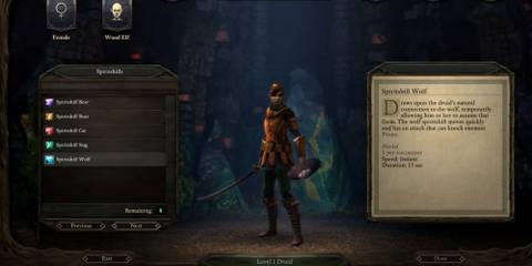 Pillars of Eternity druid spiritshift wolf description