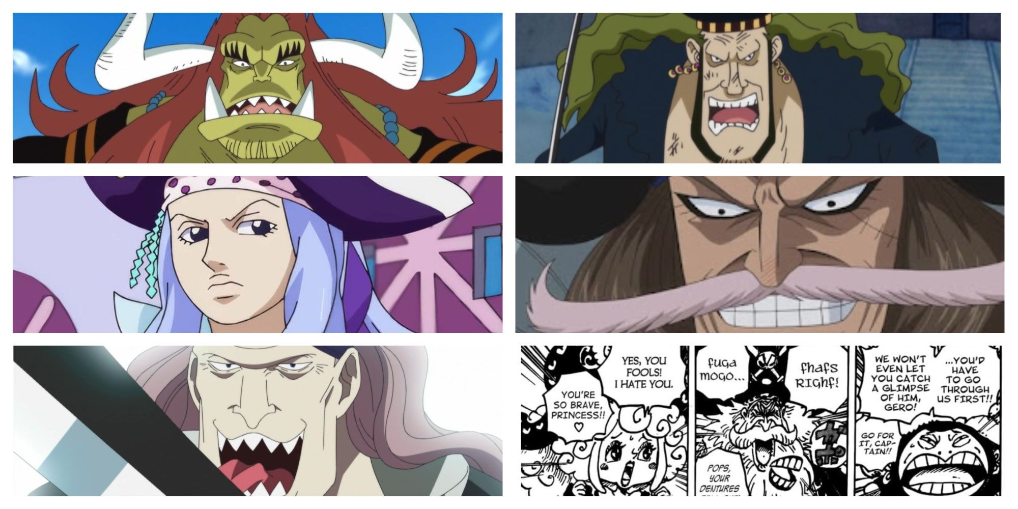 One Piece Crews that Only Name the Captain