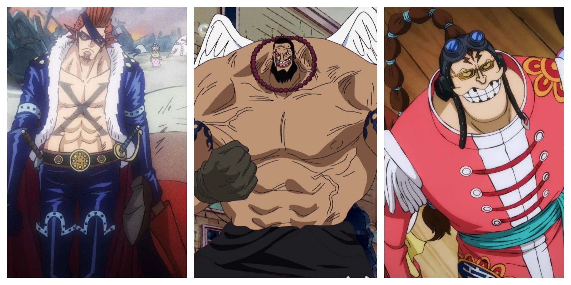 One Piece Crews that Only Name the Captain