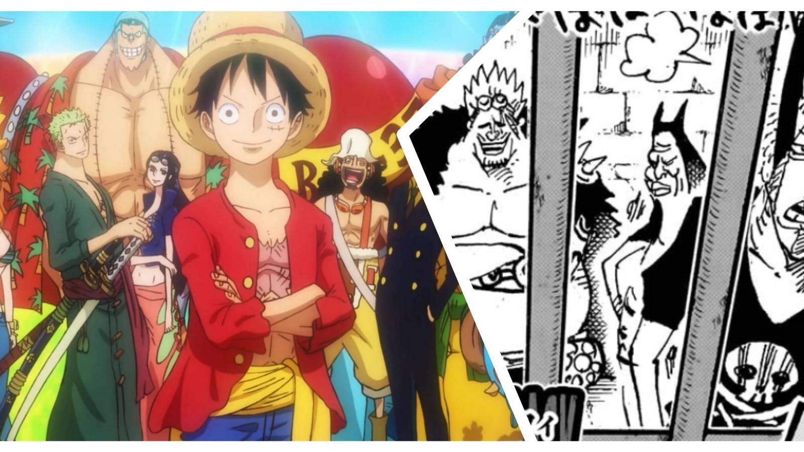 The real and fake Straw Hat Crews are themselves fairly small, having roughly the same amount of members