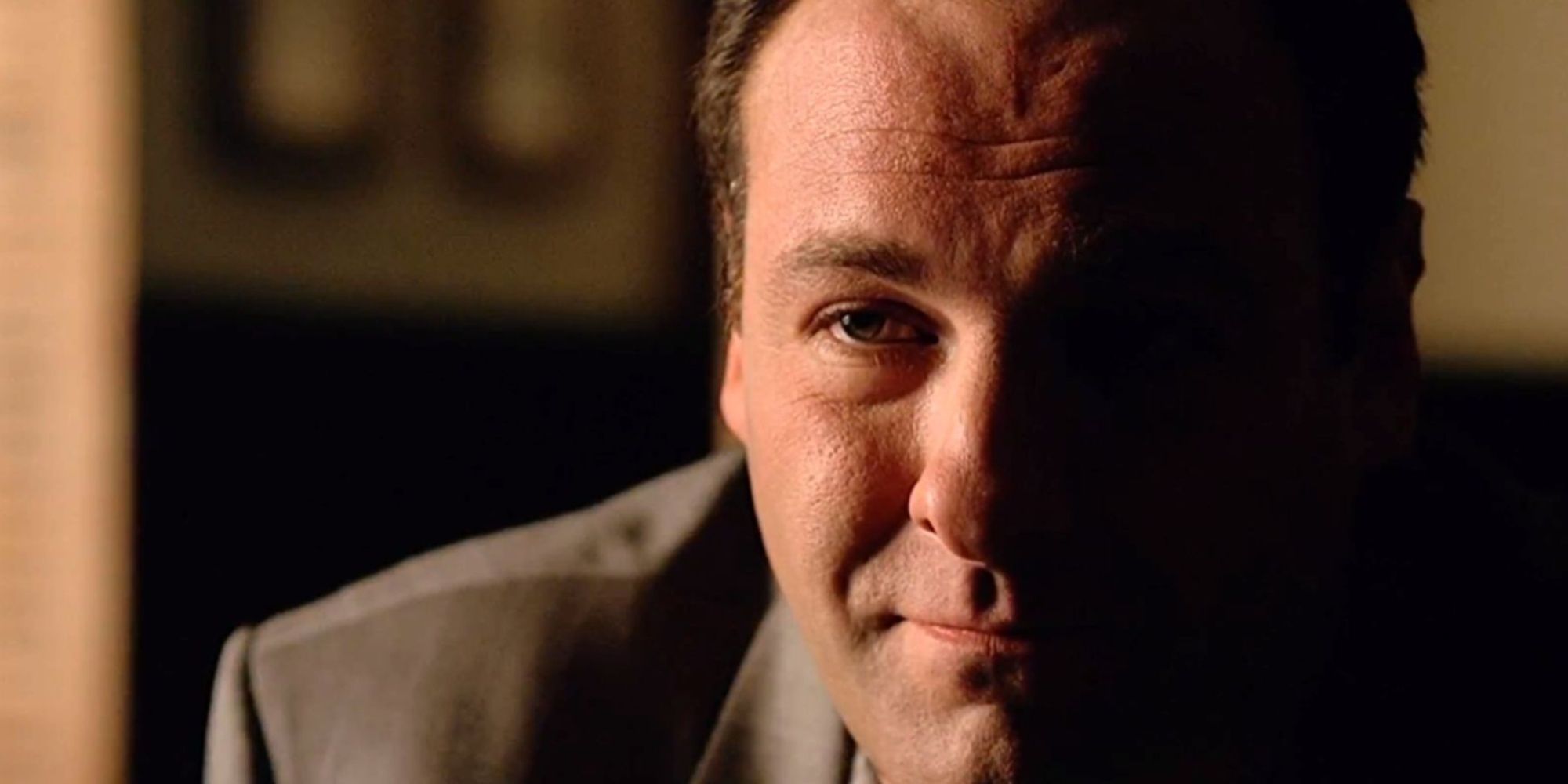 James Gandolfini as Tony Soprano