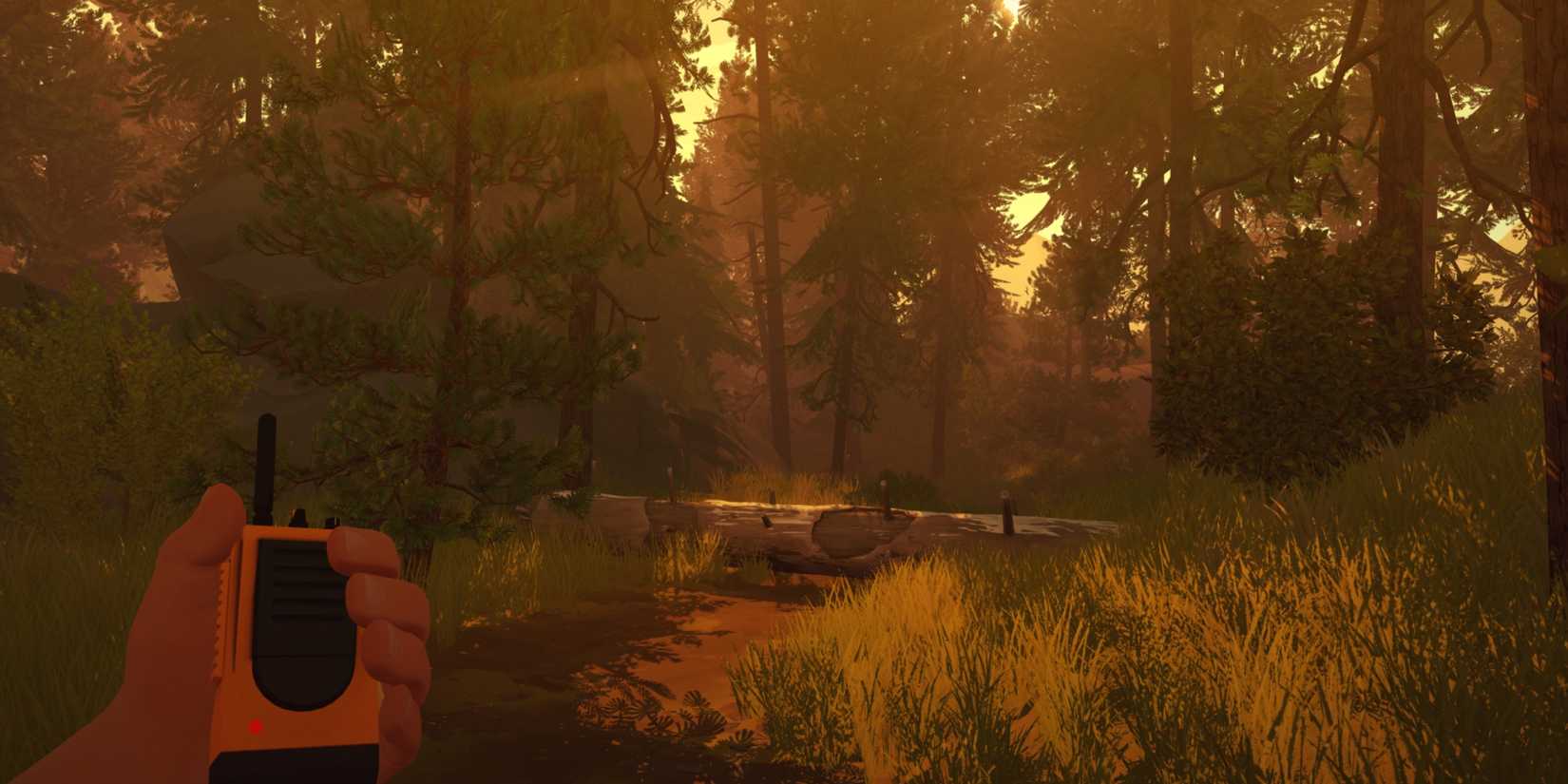 a woodland scene bathed in golde orange light with a hand gripping a radio