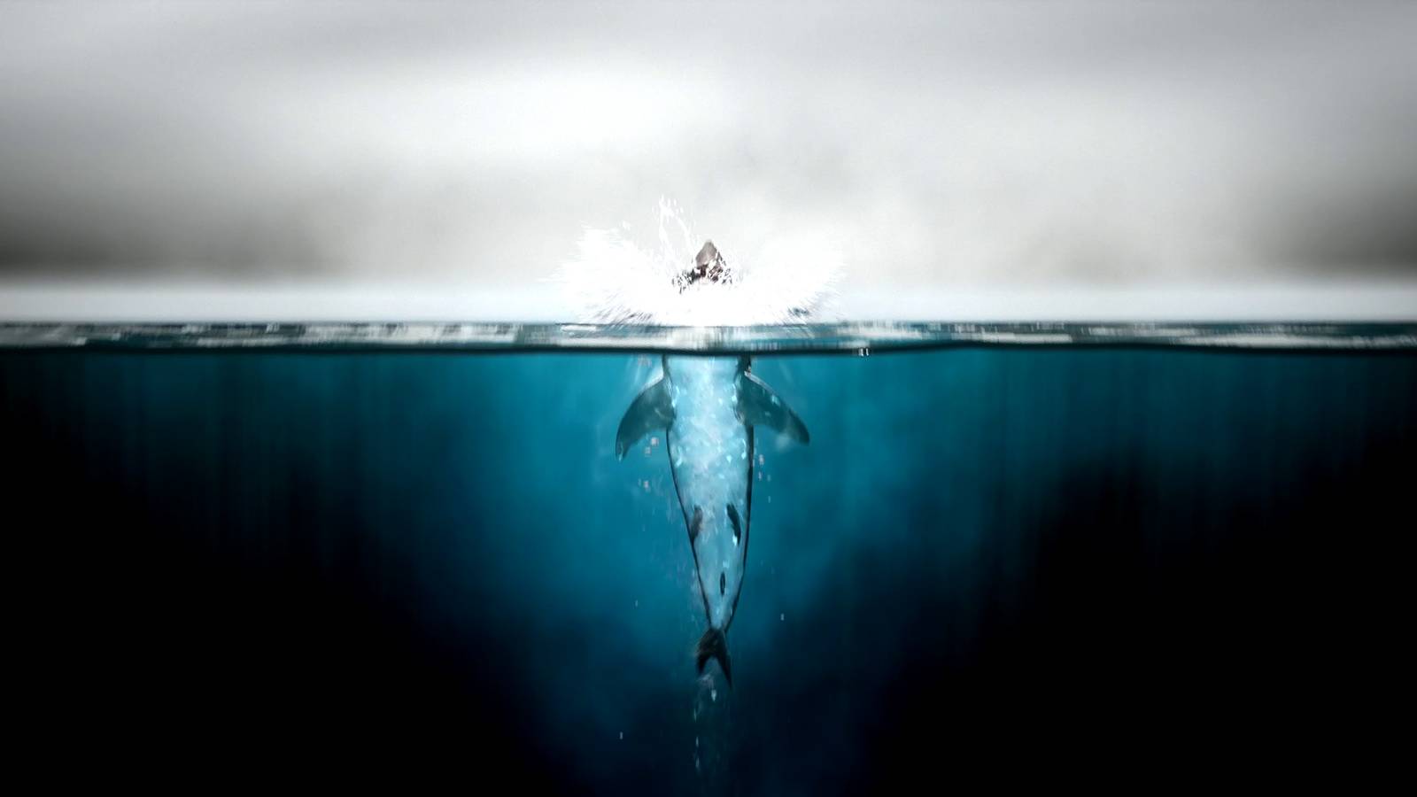 Johnny Cage's Animality in Mortal Kombat 1