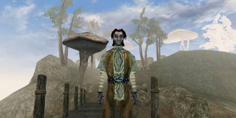 Morrowind npc 