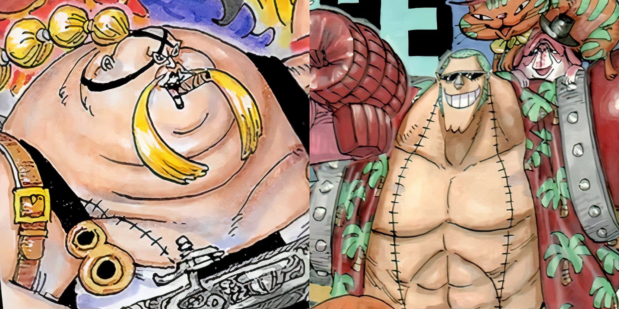 oda confirms queen is franky's father one piece vivre card