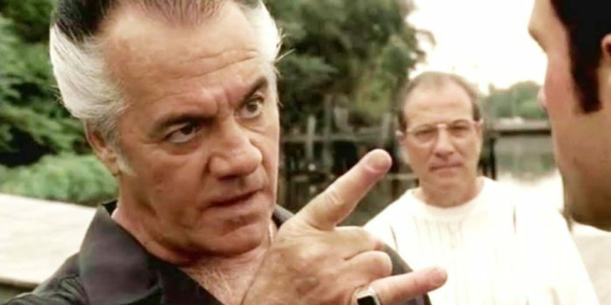 The Sopranos - The DeMeo Crime Family Explained