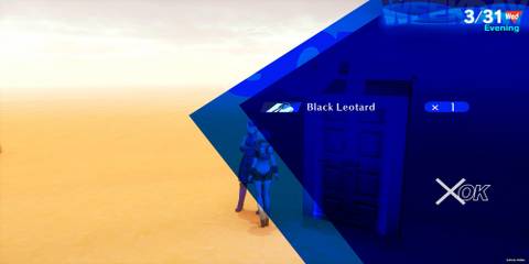 Aigis Getting The Black Leotard 