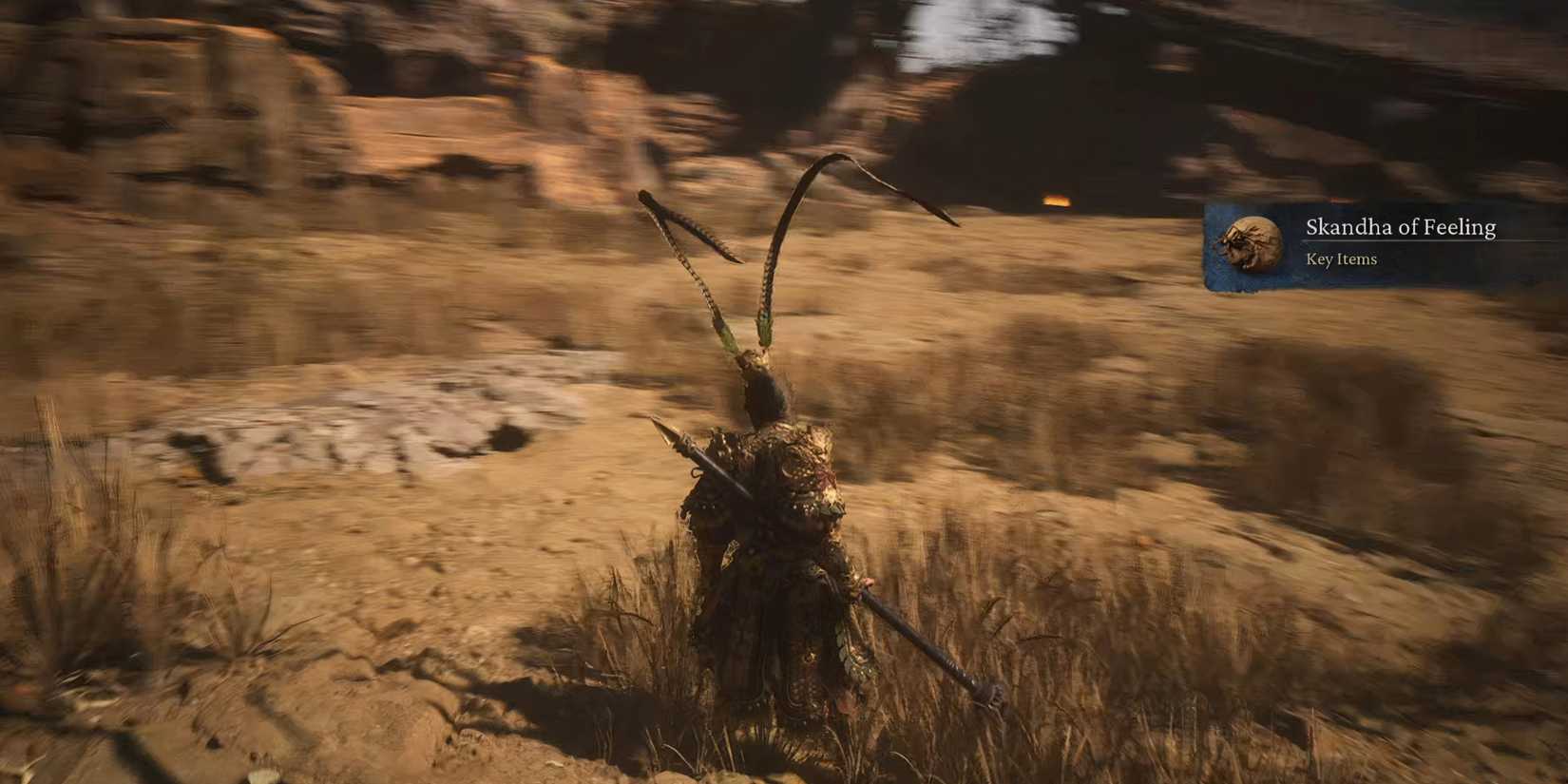 Black myth: wukong skandha of feeling location