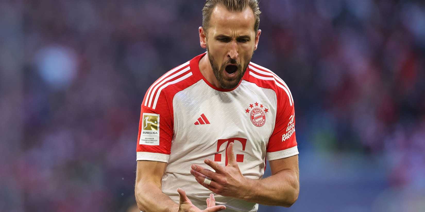 Harry Kane celebrating 