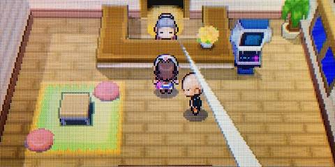 Pokemon Black Daycare