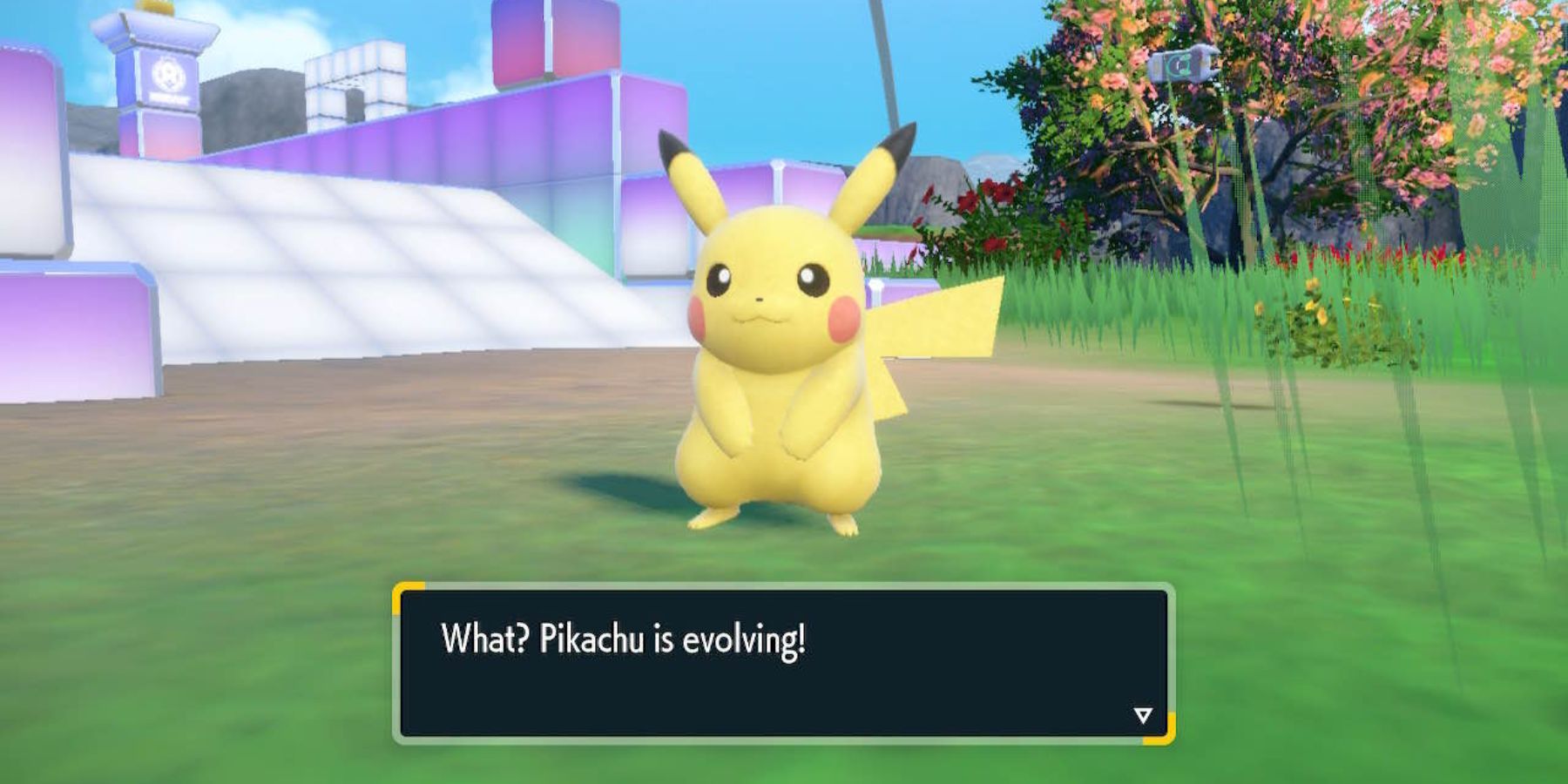 pokemon scarlet and violet pikachu evolving into raichu