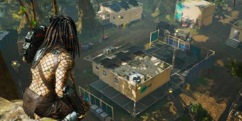 A Predator in Predator Hunting Grounds