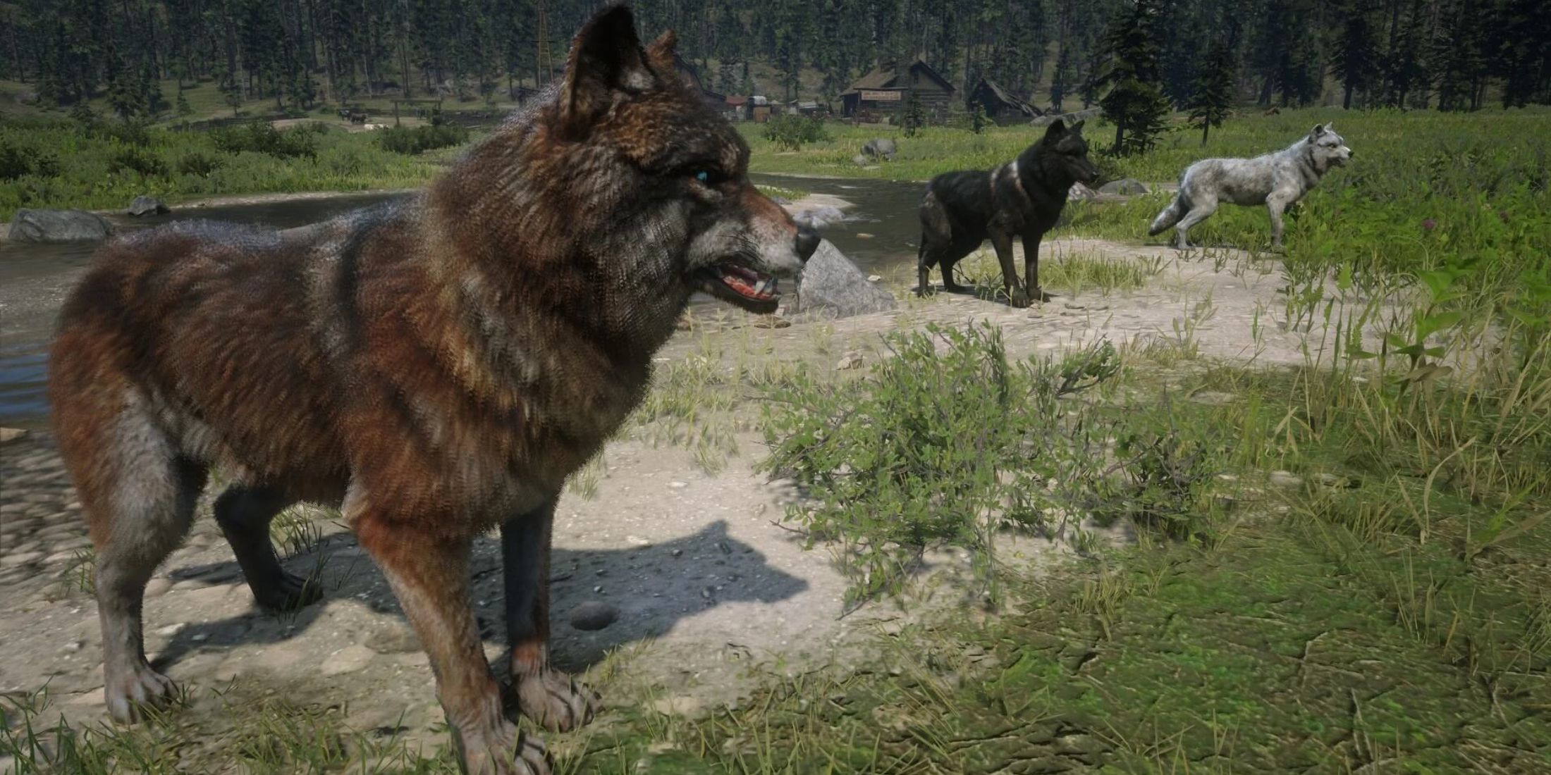 Red Dead Redemption 2 Fan Spots Rare Animation That Shows Wolves Can Be as Cute as They Are Deadly