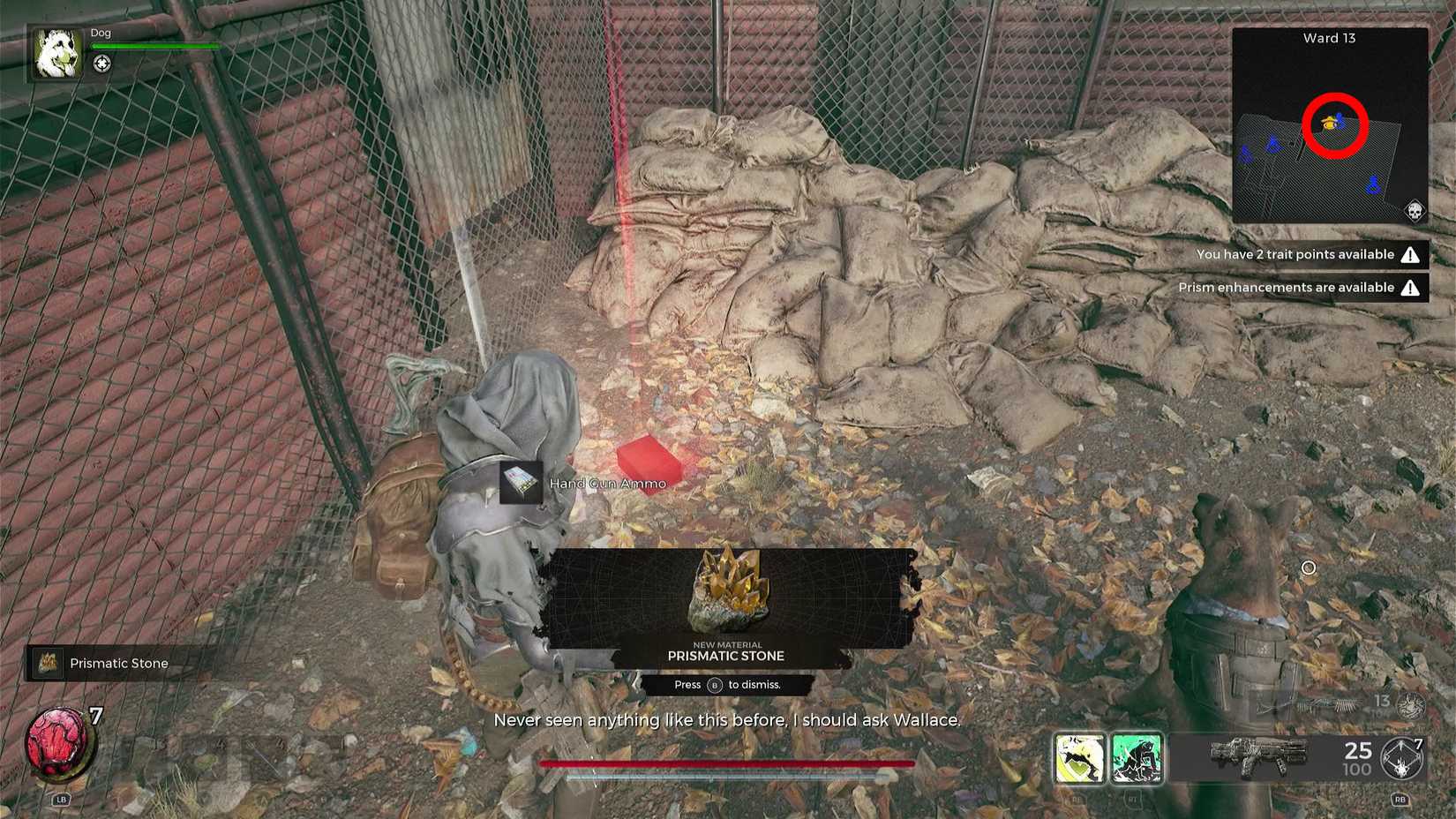 remnant 2 wallace hidden item