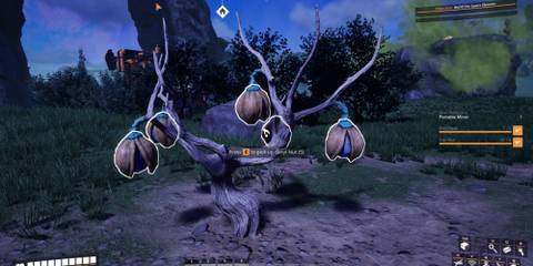 satisfactory beryl nuts