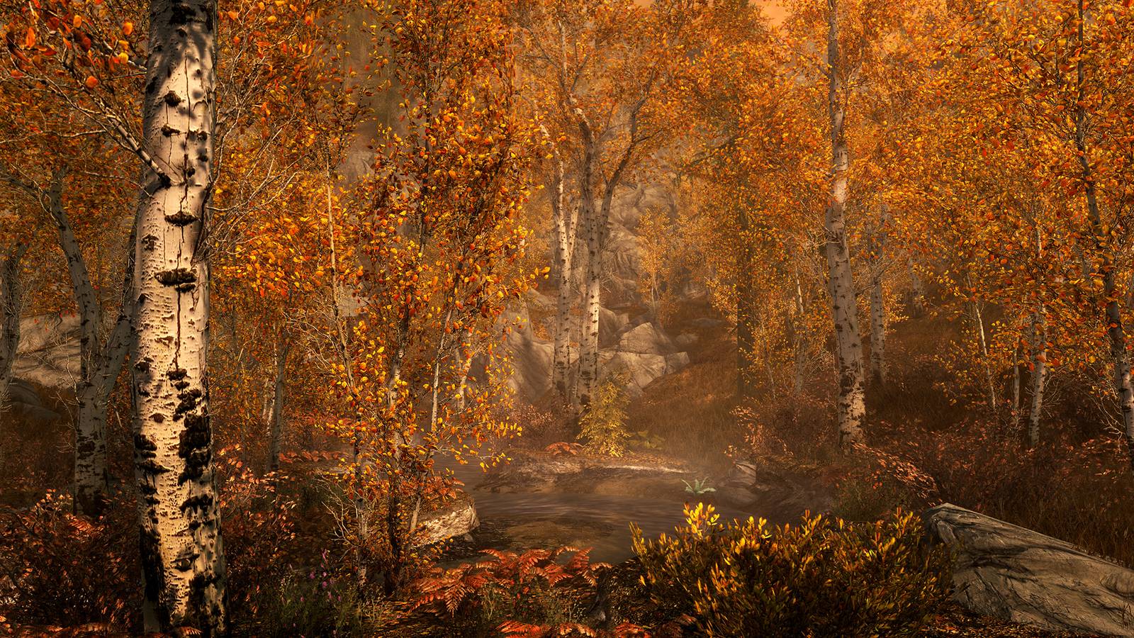 The Elder Scrolls 5: Skyrim Riften in Tiny Glade