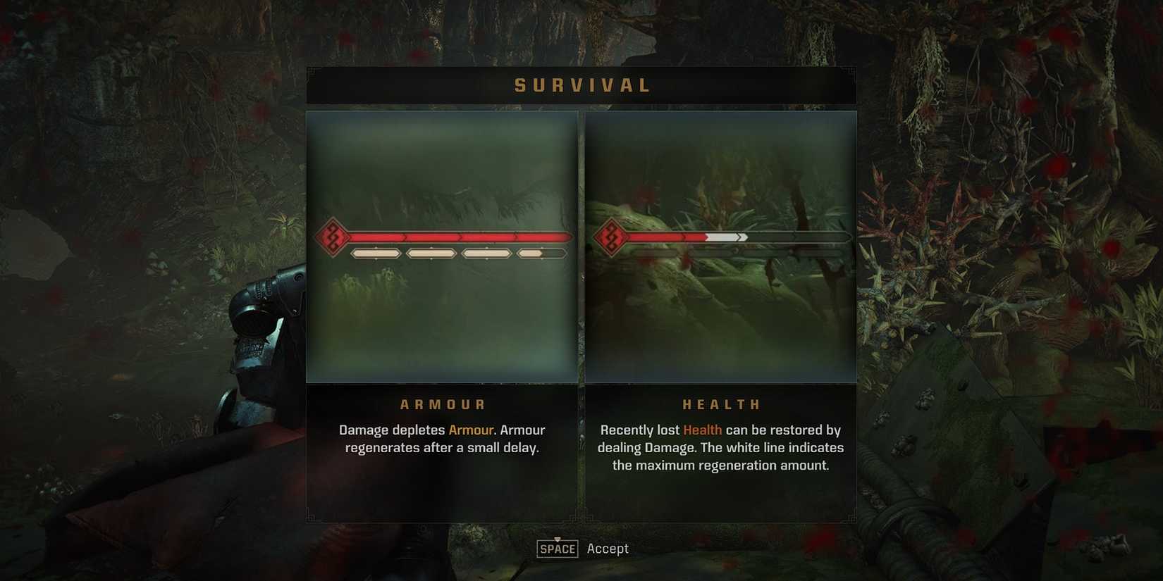 space marine 2 armor and health