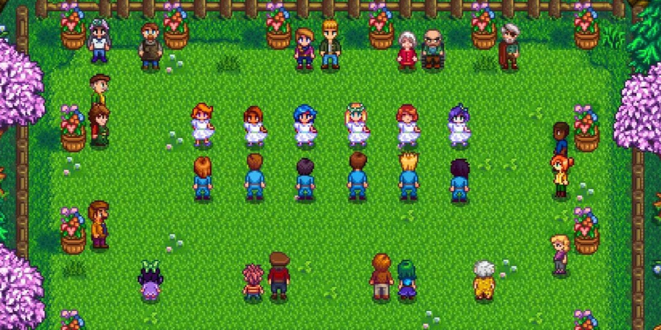 Stardew Valley Expanding its Customization Could Be Risky