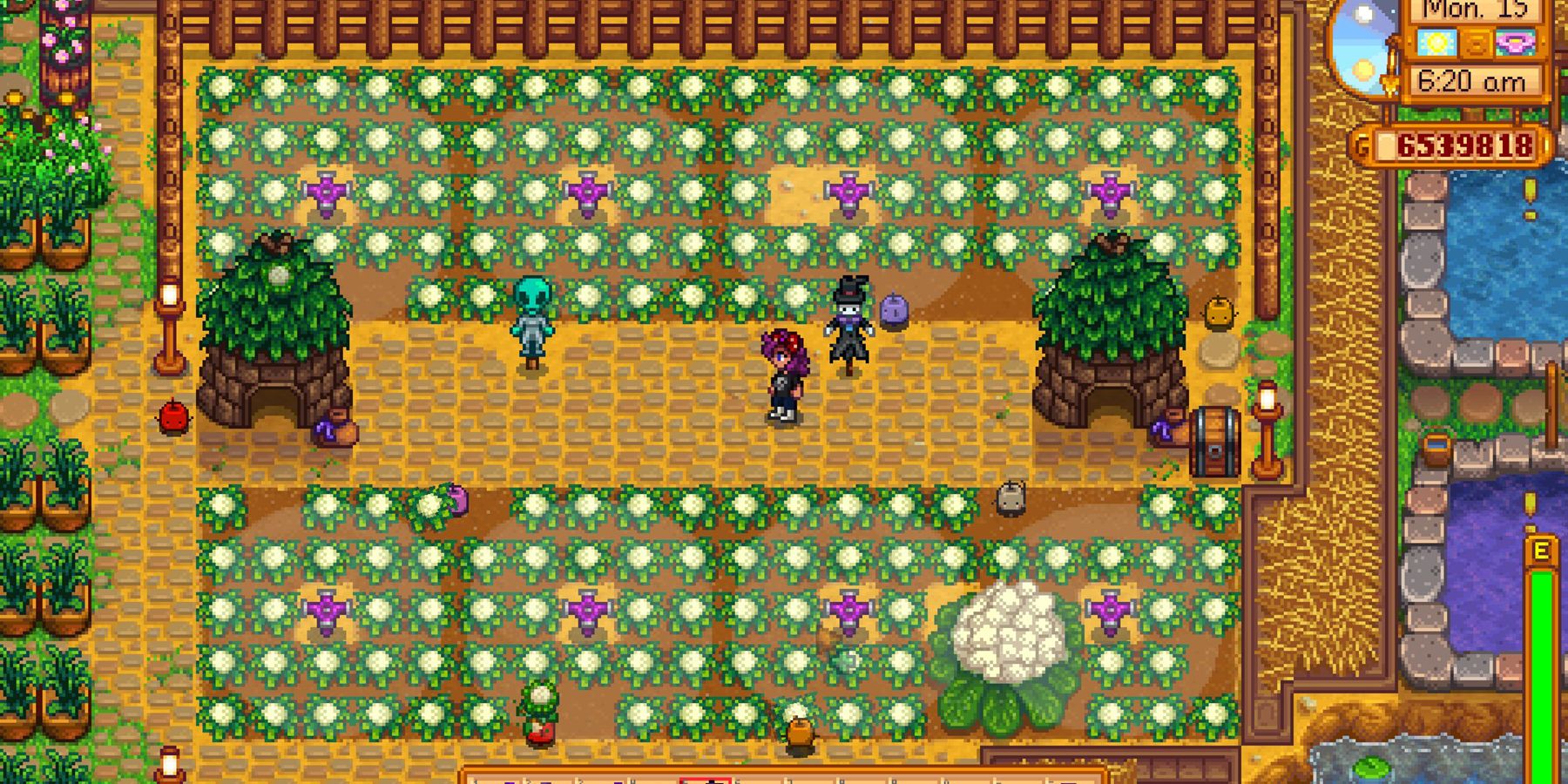 Stardew Valley: How to Build Junimo Huts