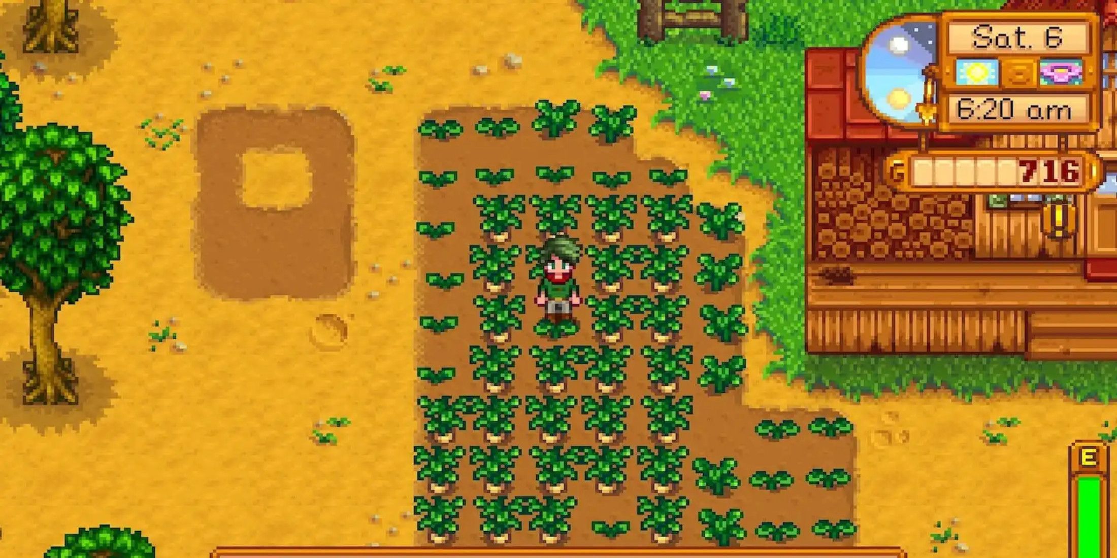 Stardew Valley Player Discovers Helpful Feature after Three Game Years