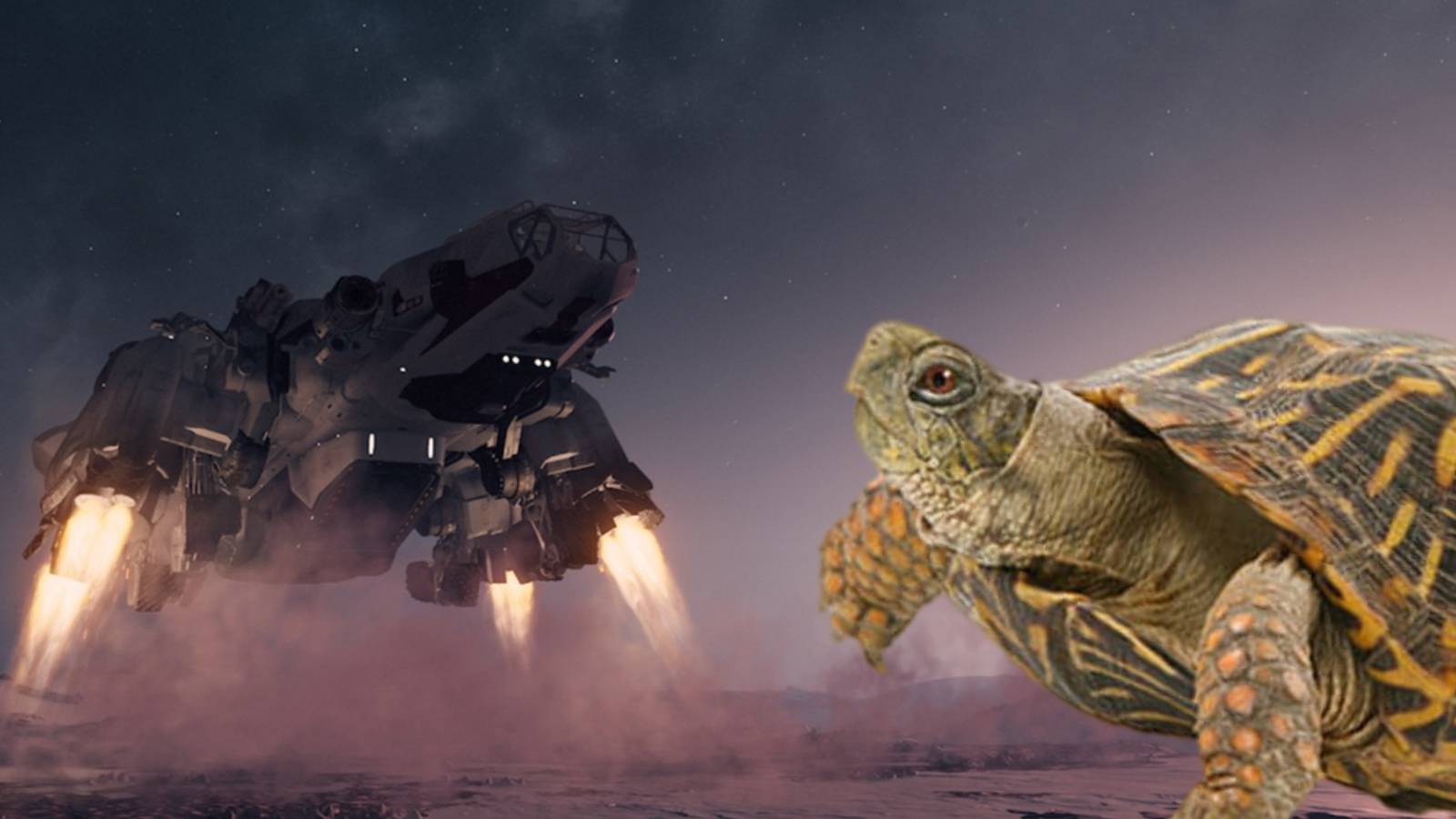 starfield player builds turtle ship