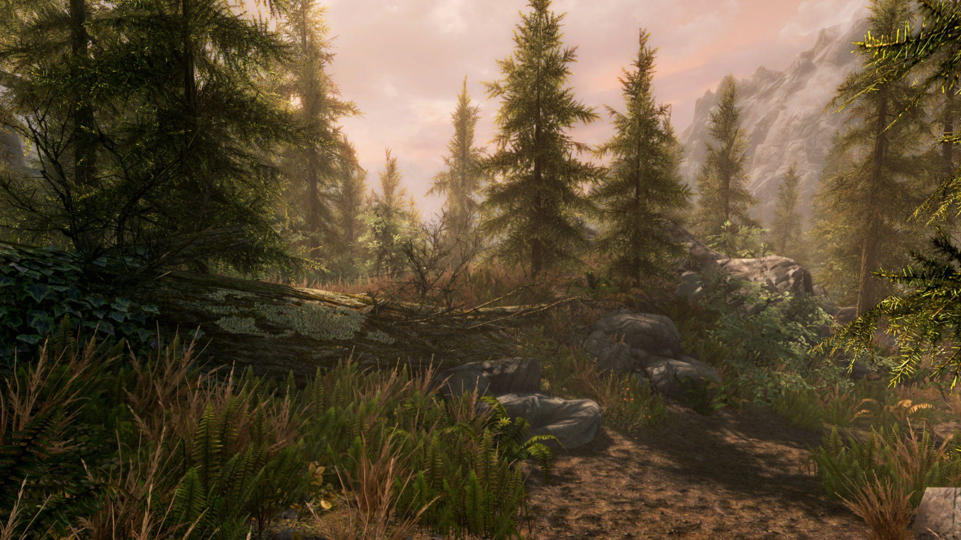 The-Elder-Scrolls-5-Skyrim-Screenshots (4)