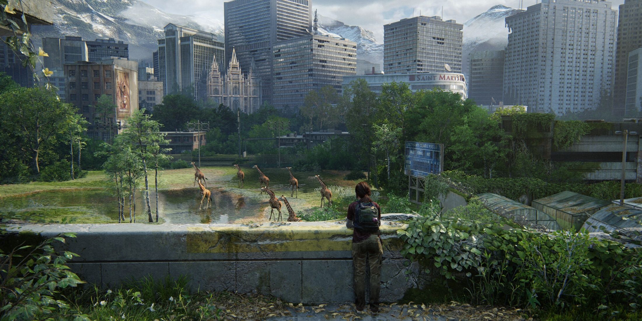 The Last Of Us Part 1 Ellie Looking At Giraffes