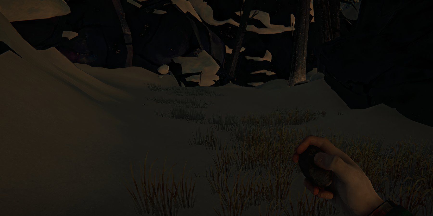 The Long Dark Dusk