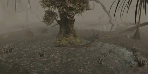 Kenshi swamp