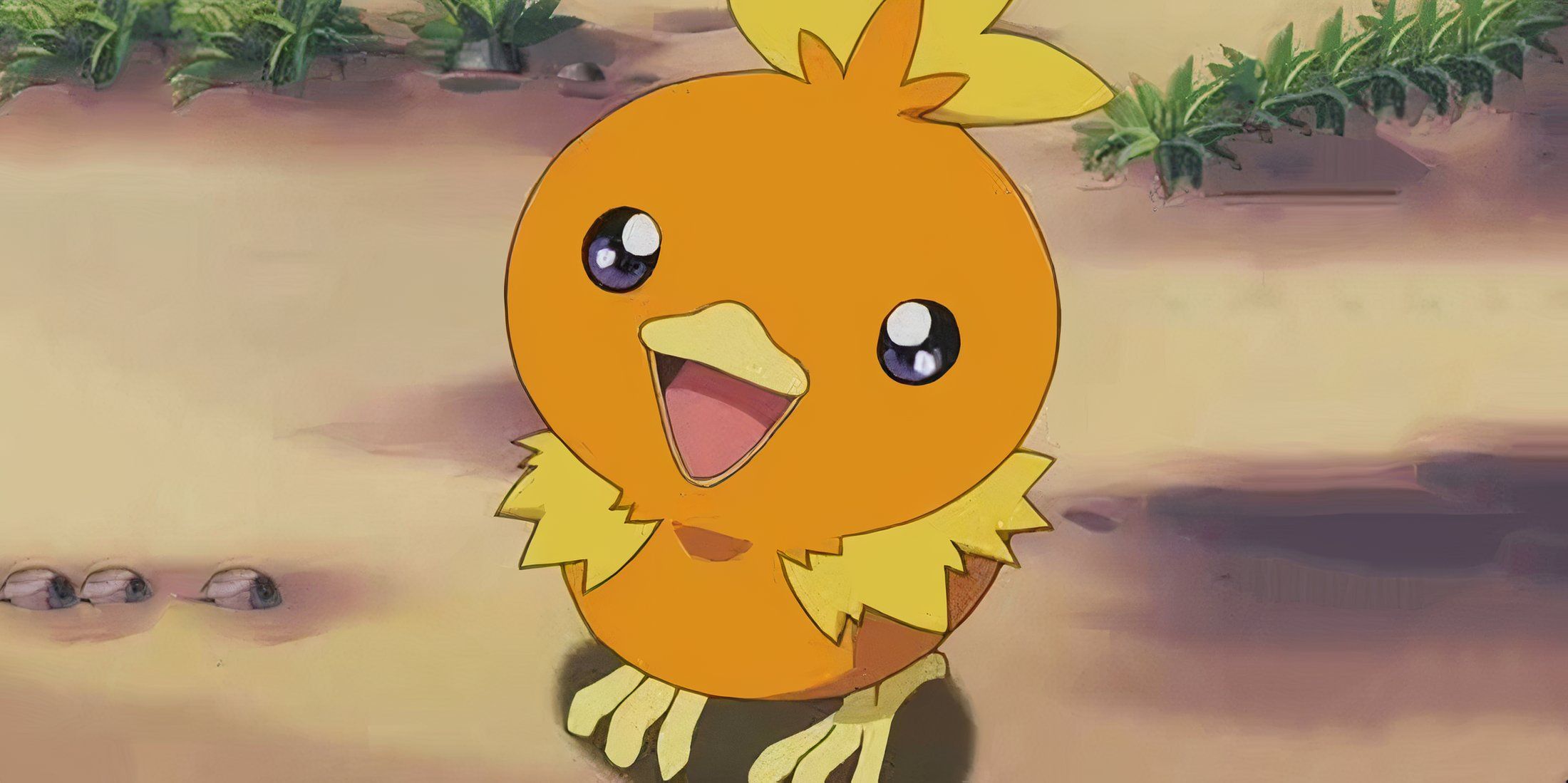 Pokemon Fan Gives Torchic a Dragon-Type Regional Variant