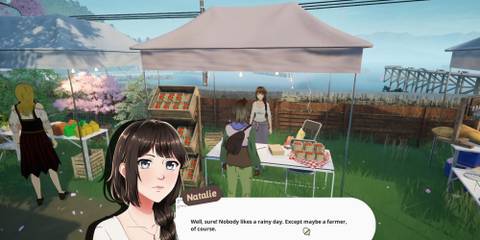 A player talking to Natalie in SunnySide