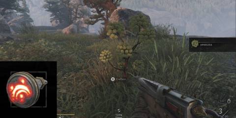 Witchfire Frost Cone