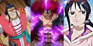 One Piece Every Hidden Supreme King Haki User